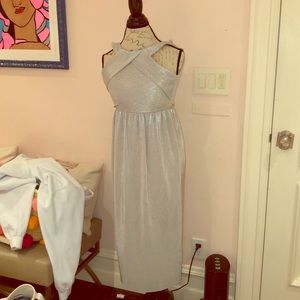 Fancy Long Sliver Zip up Dress